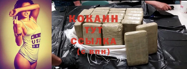 гидра Горнозаводск