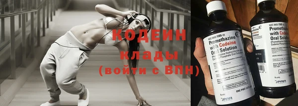 гидра Горнозаводск