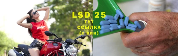 гидра Горнозаводск