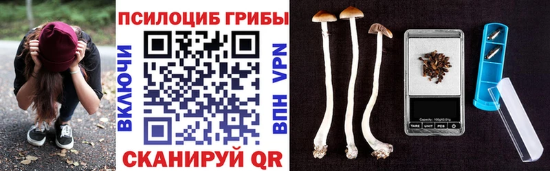 Псилоцибиновые грибы мицелий Разумное